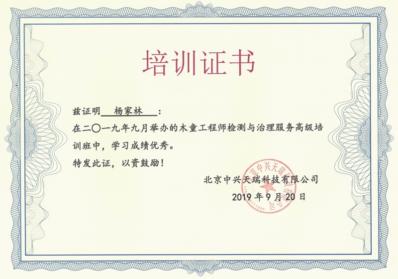 楊家林-木童工程師檢測與治理服務(wù)高級(jí)培訓(xùn)證書.jpg
